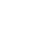 Certificato garanzia icon