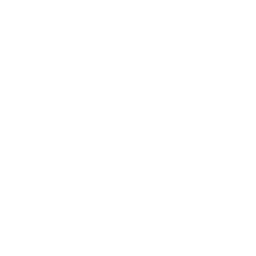 live-chat icon