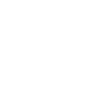 Scudo icon